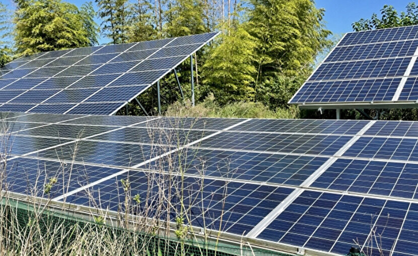 野立て太陽光発電所の発電量落ちていませんか？　 雑草で発電量が落ちますよ！